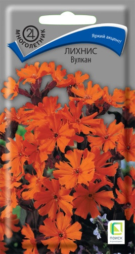 Семена лихниса «Вулкан»