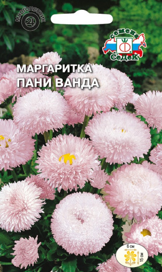 Семена маргаритки «Пани Ванда»