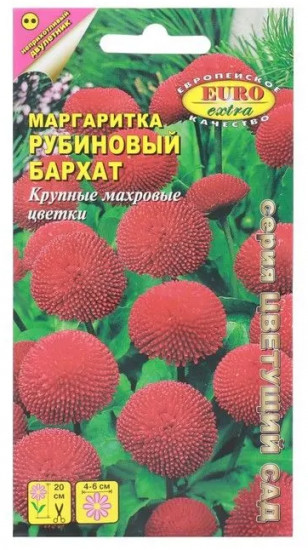 Семена маргаритки «Рубиновый бархат»