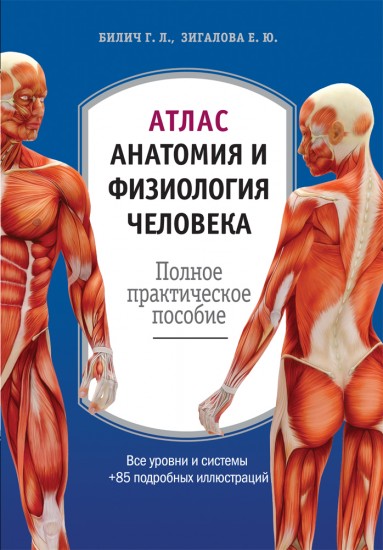 Анатомия И Физиология Учебник Смольянникова - booksbuilder