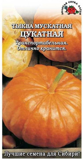 Семена тыквы «Цукатная мускатная»