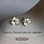 белый/золотой