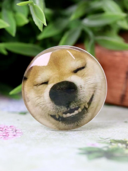 Попсокет «Spaca dog»