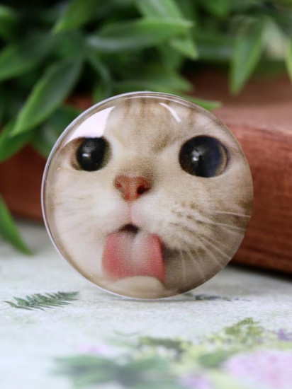 Попсокет «Cat grimacing»