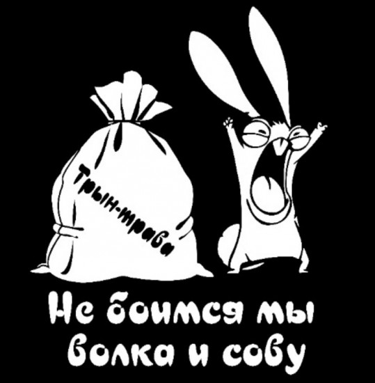 Наклейка на автомобиль