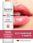 қорғау және қалпына келтіру