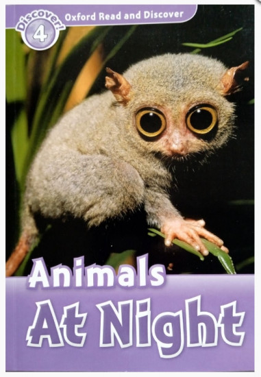 Animals At Night