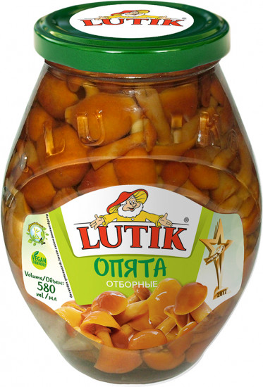 Опята отборные