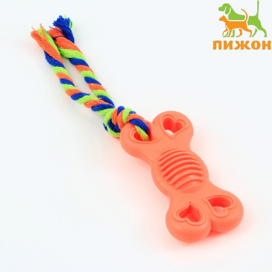 Игрушка жевательная с канатом «Косточка на привязи»