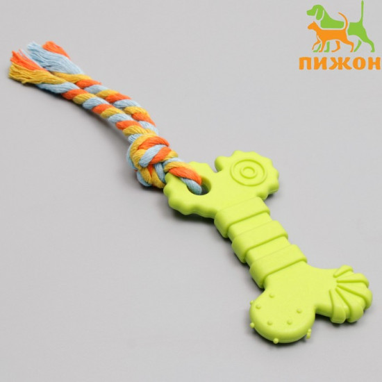 Игрушка жевательная с канатом «Кость с хвостом»