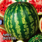 Семена арбуза «Фотон»