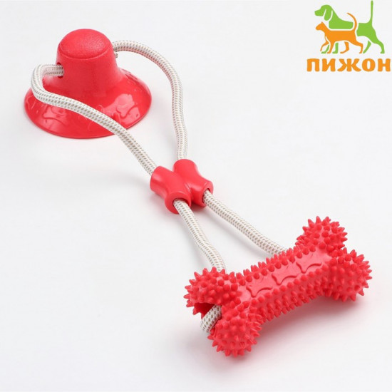 Игрушка для собак «Кость на присоске»