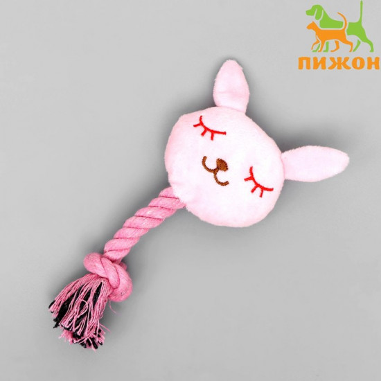 Игрушка для собак «Зайка с канатом»