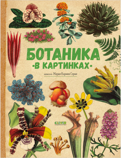 Ботаника в картинках