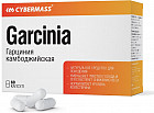 Гарциния камбоджийская «Garcinia»