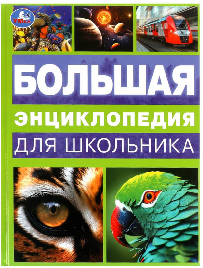 Большая энциклопедия для школьника