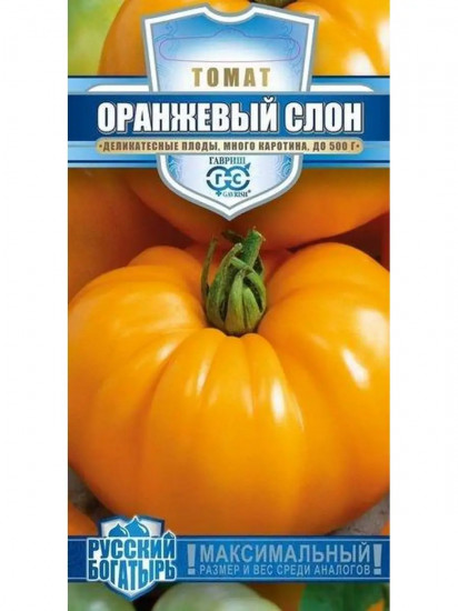 Семена томатов «Оранжевый слон»