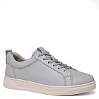 серо-голубой