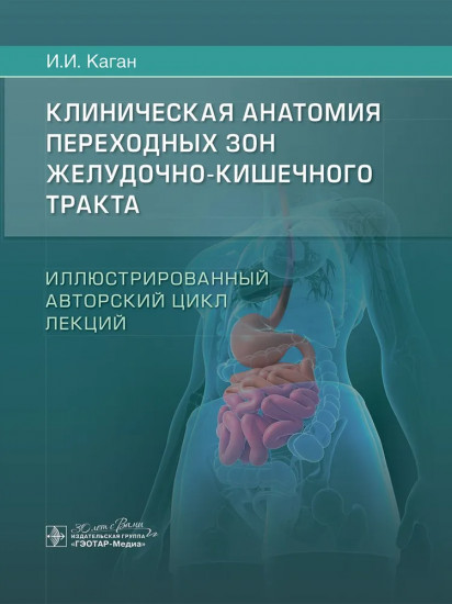 Клиническая анатомия переходных зон желудочно-кишечного тракта
