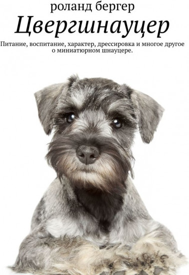Цвергшнауцер. Питание, воспитание, характер, дрессировка и многое другое о миниатюрном шнауцере