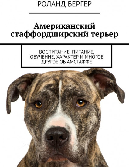 Американский стаффордширский терьер. Воспитание, питание, обучение, характер и многое другое об амстаффе