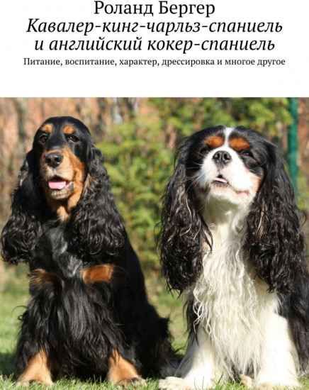 Кавалер-кинг-чарльз-спаниель и английский кокер-спаниель. Питание, воспитание, характер, дрессировка и многое другое
