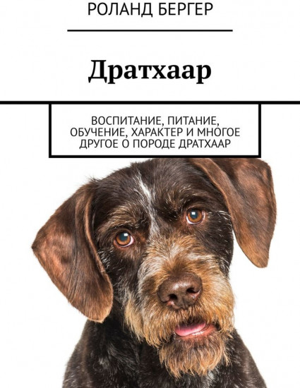 Дратхаар. Воспитание, питание, обучение, характер и многое другое о породе дратхаар