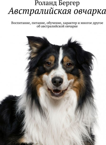 Австралийская овчарка. Воспитание, питание, обучение, характер и многое другое об австралийской овчарке