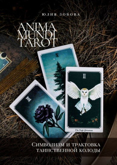 Anima Mundi Tarot. Символизм и трактовка таинственной колоды