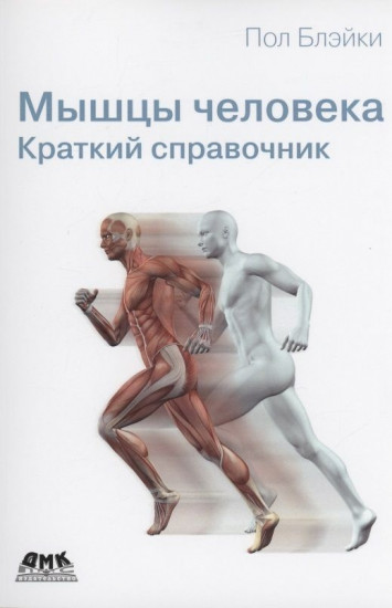 Мышцы человека