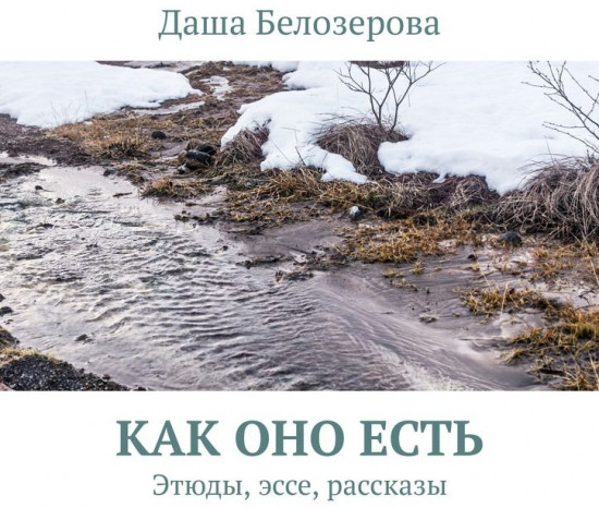 Как оно есть. Этюды, эссе, рассказы