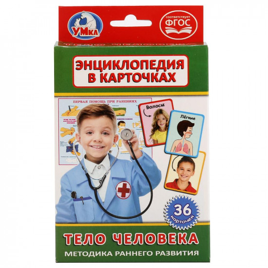 Карточки развивающие «Тело человека»