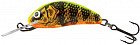 GFP