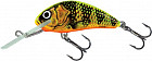 GFP