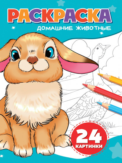 Раскраска «Домашние животные»