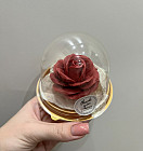 красная роза