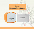 кедр