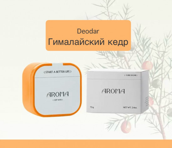 Свеча ароматическая «Deodar»