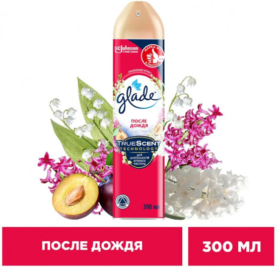 Освежитель воздуха «После дождя»