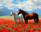 Картина по номерам «Лошади на маковом поле»
