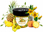 tropicana