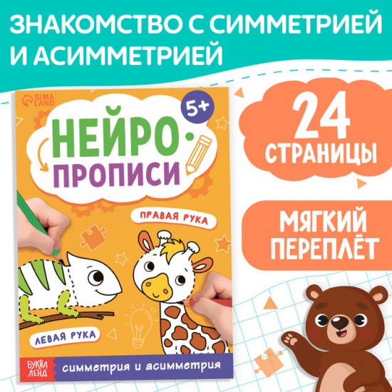 Нейропрописи «Симметрия и асимметрия»