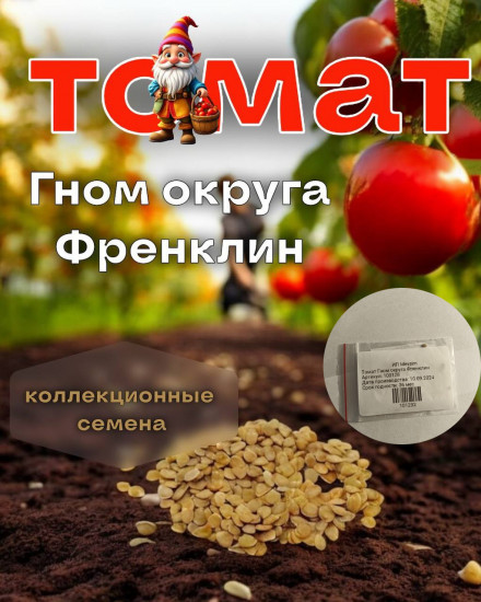 Коллекционные семена томата «Гном округа Френклин»