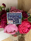 Капсулы для похудения «Molecule Plus Premium»