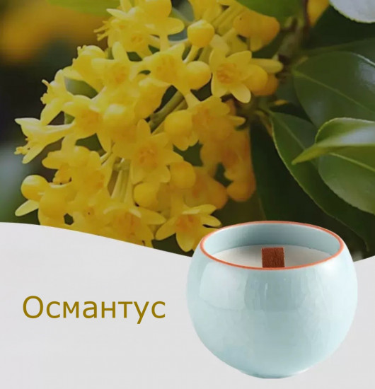 Свеча ароматическая «Османтус»