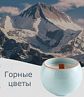 горные цветы
