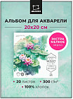 20 × 20 см