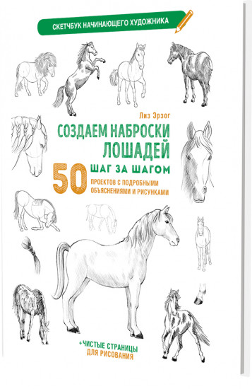 Создаем наброски лошадей шаг за шагом. Скетчбук начинающего художника
