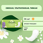 36 шт.
