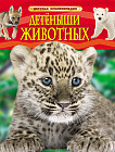 Детёныши животных